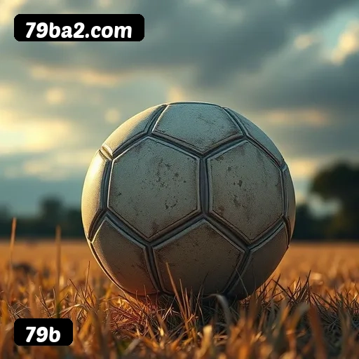 Imagem secundária de apoio para instalação do app 79b